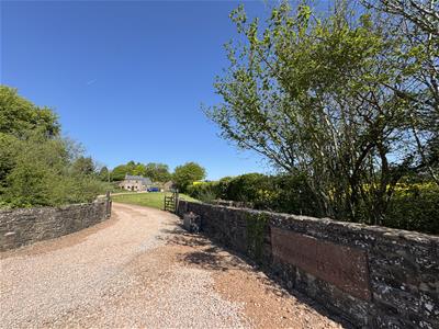 Picture 36